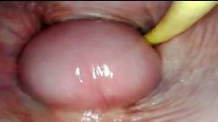 Increíble pov interno cámara dentro de su coño mientras la llené de semen